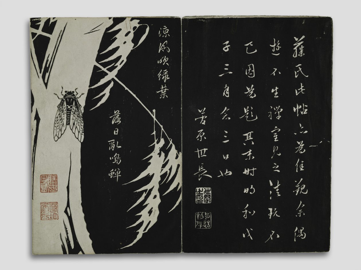 Flores de las Montañas Kun-lun (Gempô Yôka) Periodo Edo de Ito Jakuchu