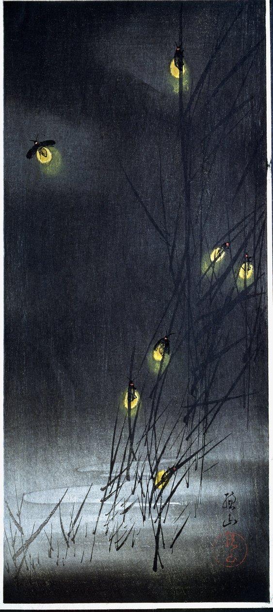Luciérnagas en noche de verano. 1930-1950 (Xilografía e impresión japonesa) de Ito Sozan