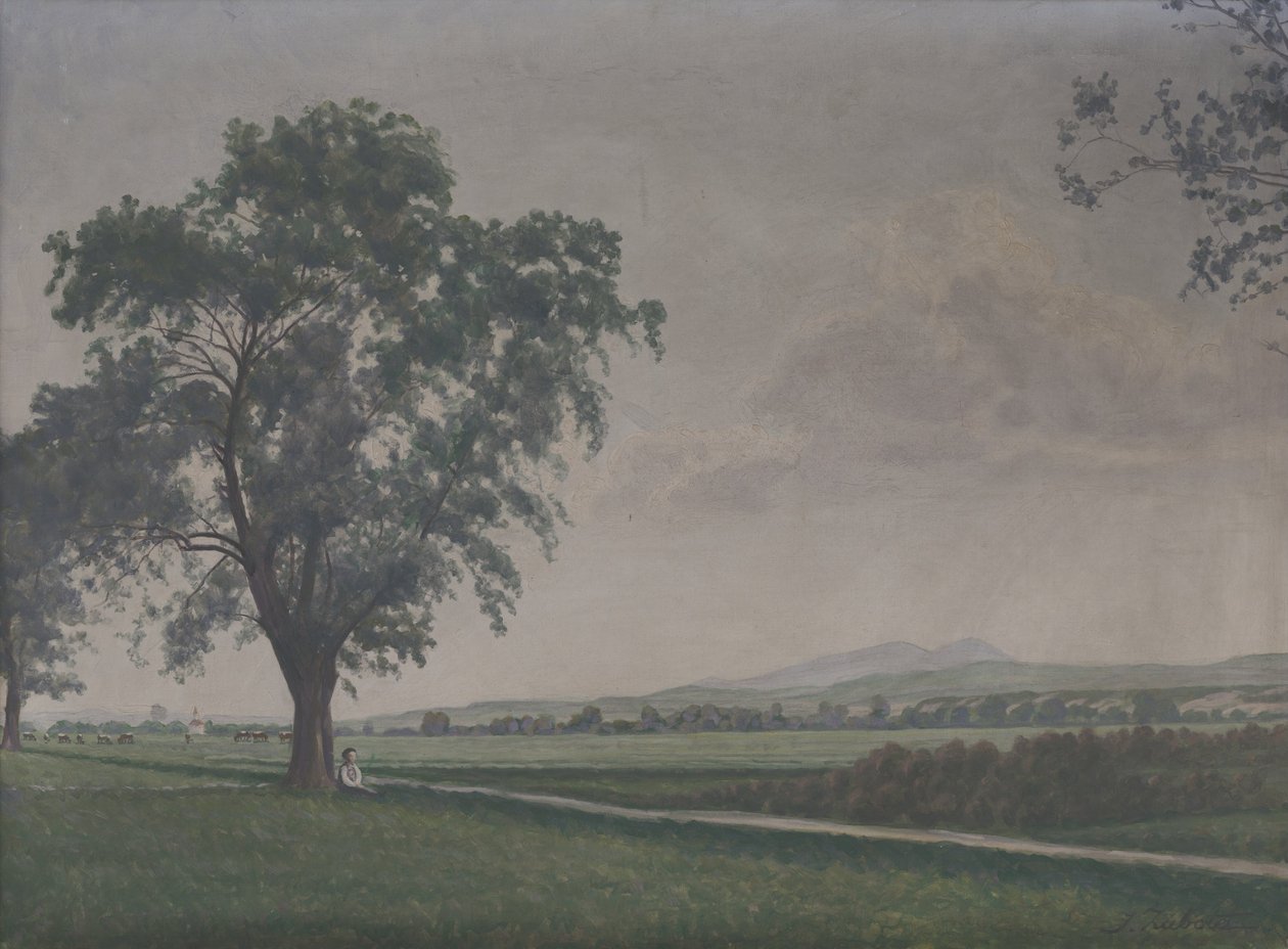 Paisaje cerca del pueblo de Pribovce de Ivan Zabota
