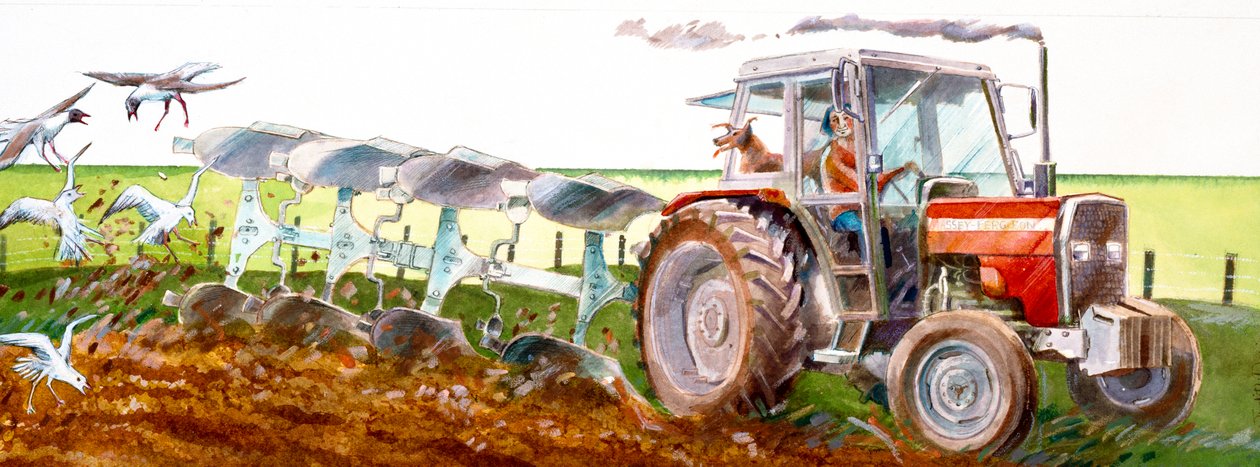 Arando de Ivan Lapper