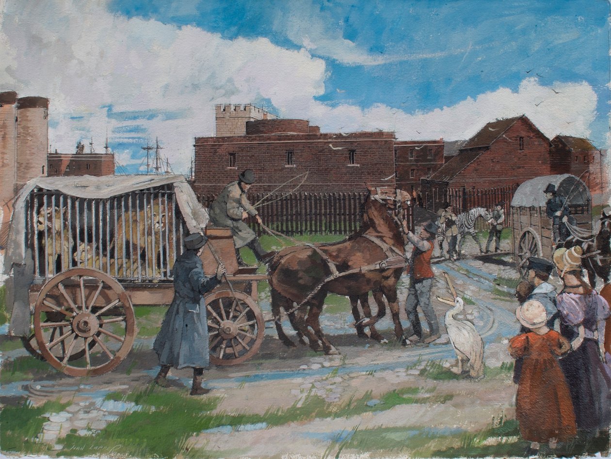 Vista reconstruida de los animales de la colección real saliendo de la Torre de Londres hacia 1841 de Ivan Lapper