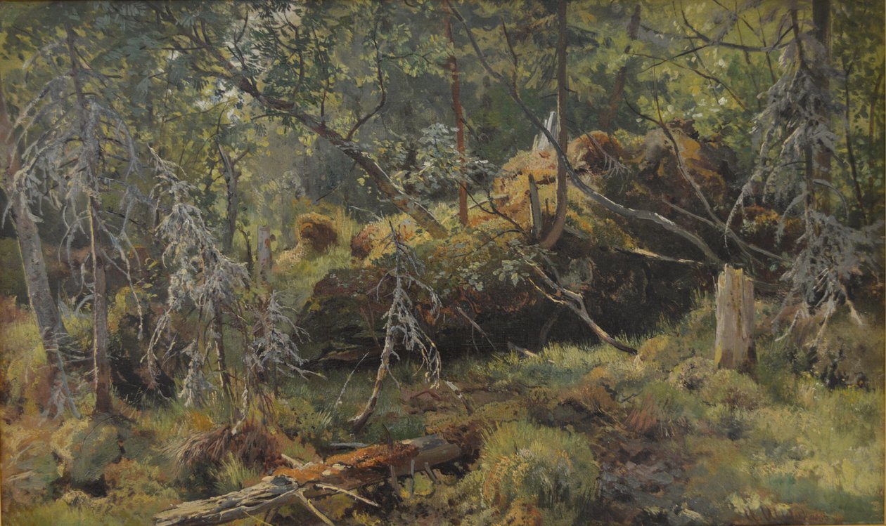Ramas. Un estudio de Ivan Ivanovich Shishkin