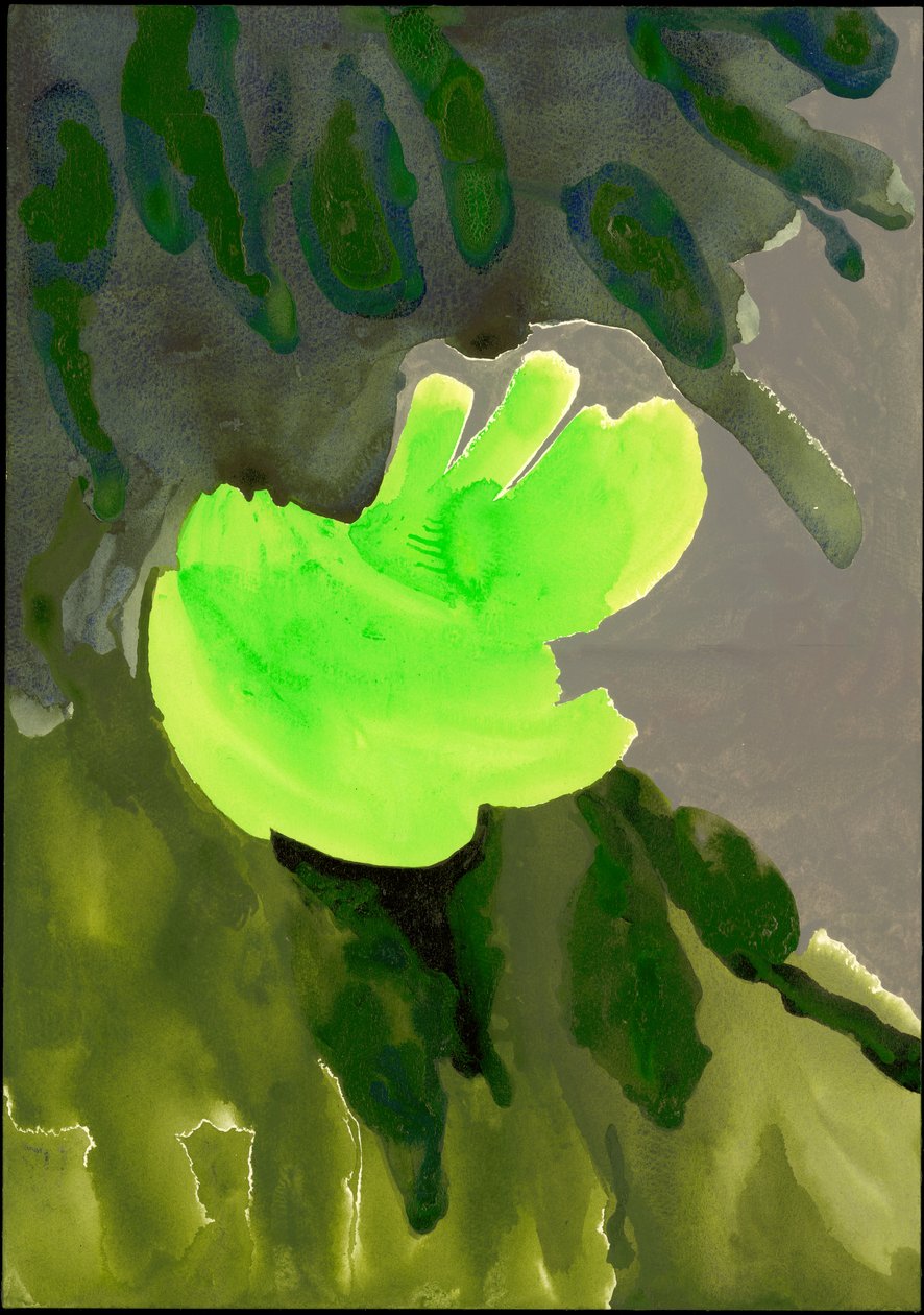 Serie de Kensington Gardens: Cascada de hojas, 2007 de Izabella Godlewska de Aranda