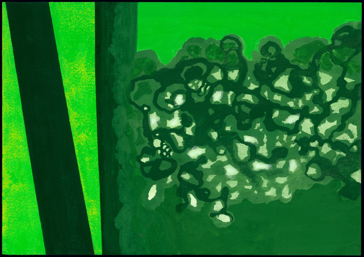Serie de Kensington Gardens: Sombras del dosel, 2007 de Izabella Godlewska de Aranda