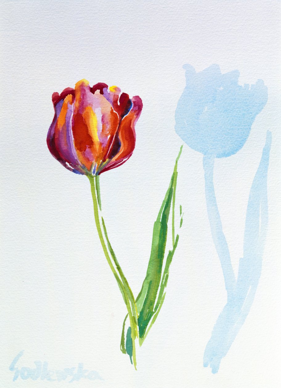Tulipán de Izabella Godlewska de Aranda