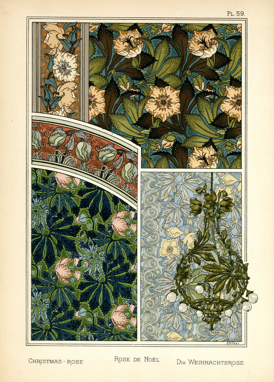 La rosa de Navidad de J. Milesi