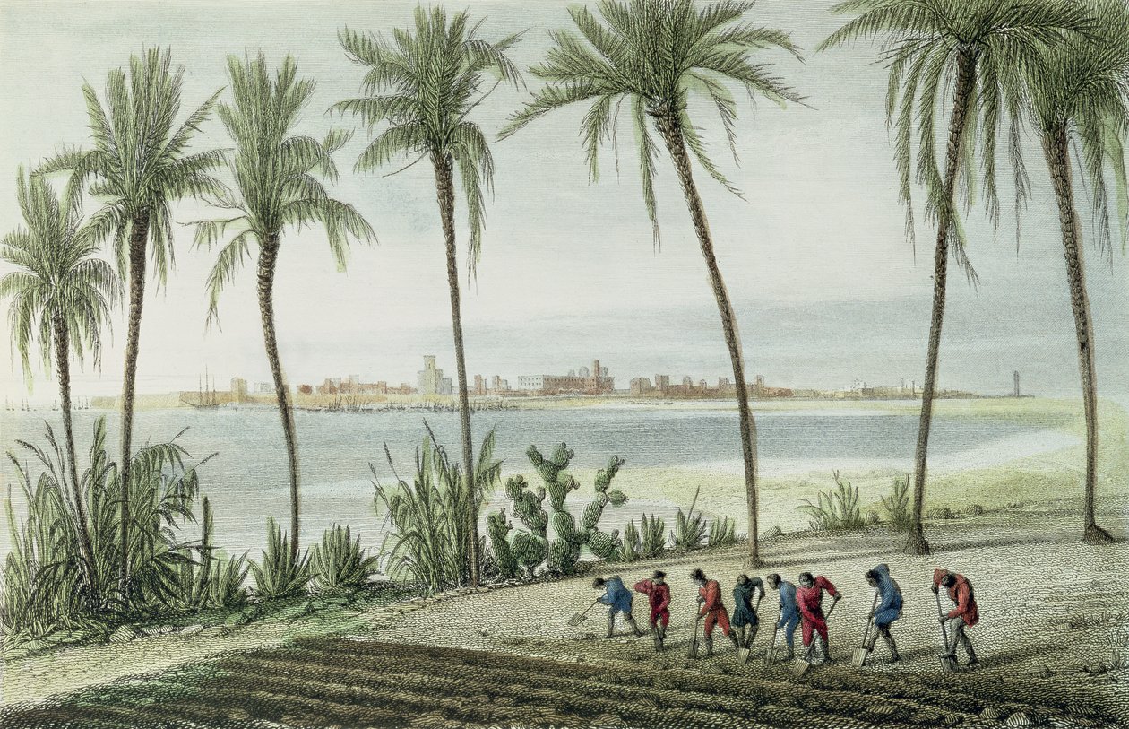 Vista general de Cádiz, grabado por John Pye (1782-1874) de J. Taylor
