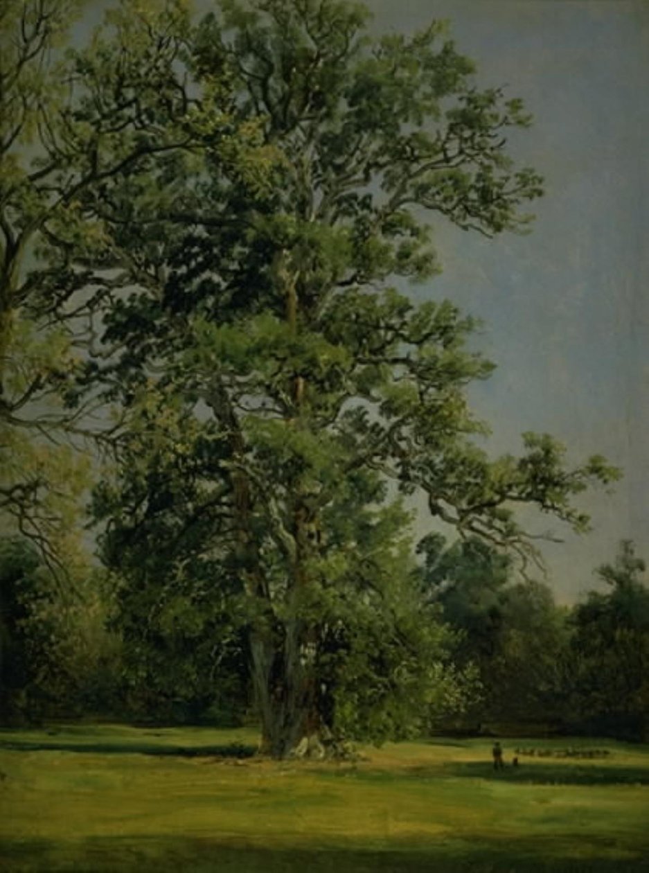 Un roble. Vista del jardín en Wörlitz cerca de Dessau de Johan Christian Dahl