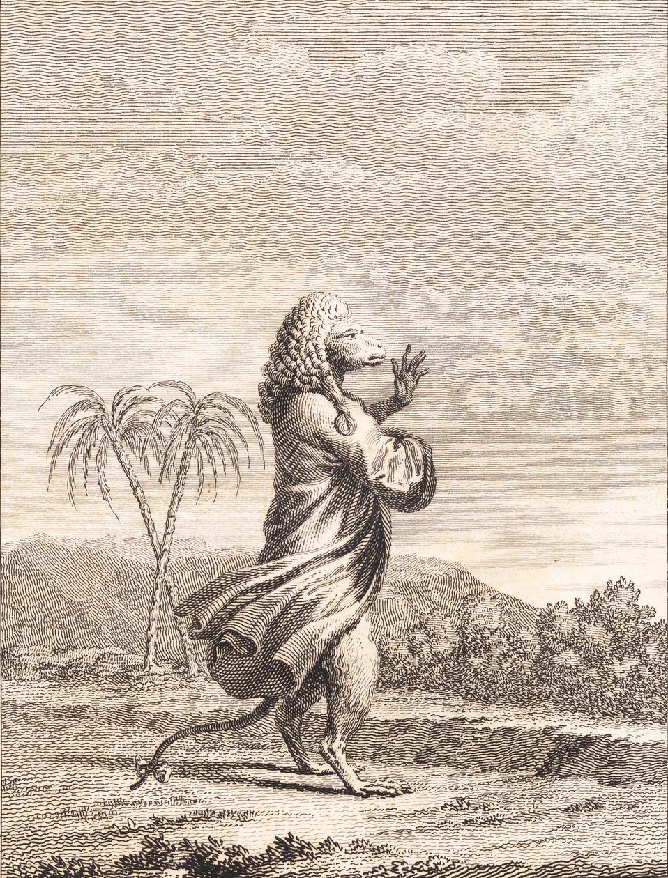 Un mono martiniqués de J.F. Clemens