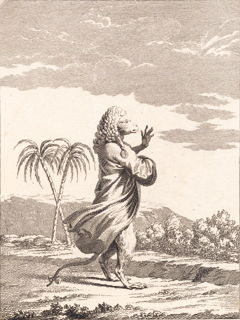 Un mono martiniqueño de J.F. Clemens