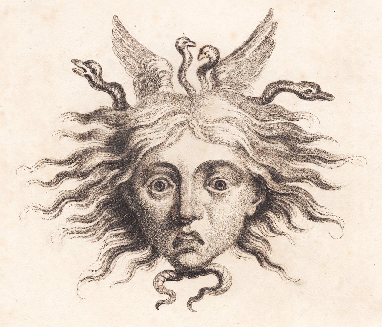 Cabeza de Medusa de J.F. Clemens