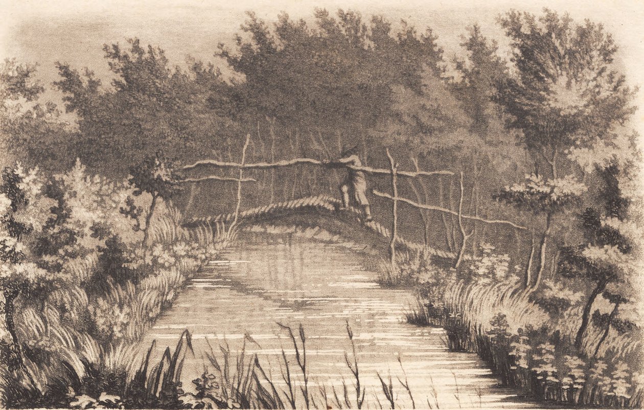 Parte del jardín de Sanderumgaard de J.F. Clemens