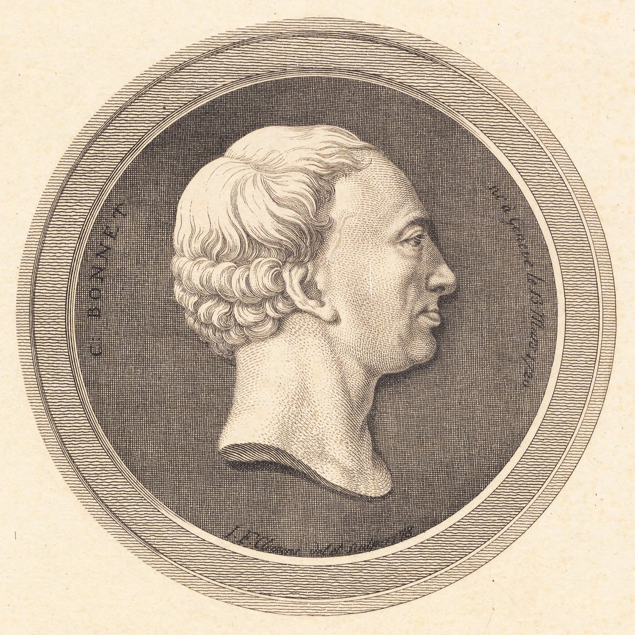 Medallón en relieve con retrato de Bonnet de J.F. Clemens