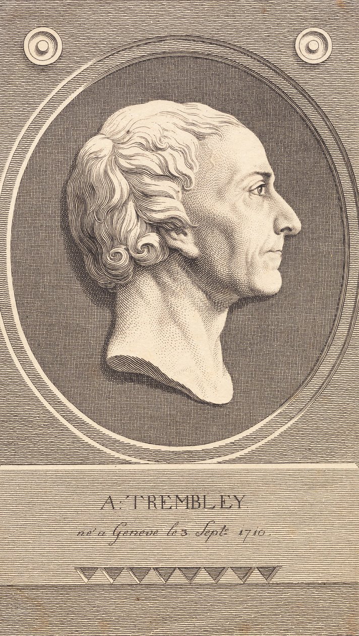 Medallón en relieve con retrato del zoólogo Abraham Trembley de J.F. Clemens