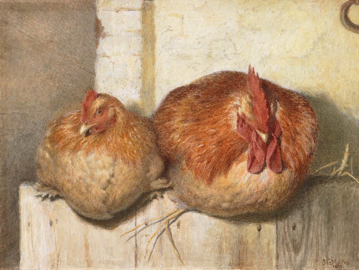 Cuarenta guiños, 1865 de J.G. Marks