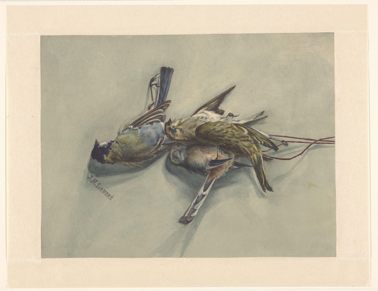 Bodegón con tres pájaros muertos de J.N. Landré (signed by artist)