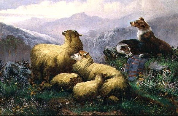 Perros pastores y ovejas en las Tierras Altas de Escocia de J.W. Morris
