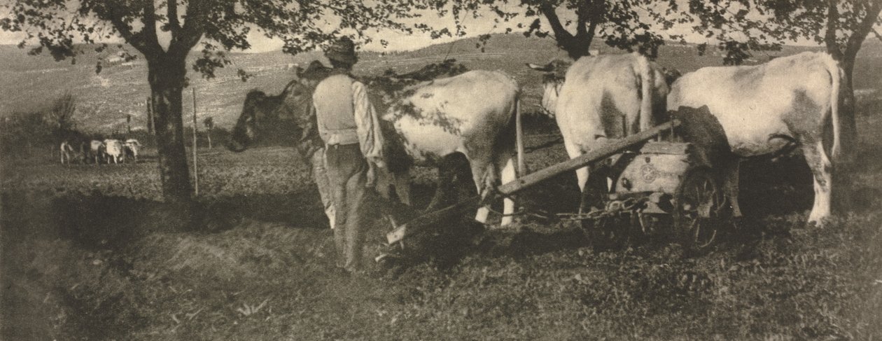 Camera Work: Ploughing Team de J. Craig Annan