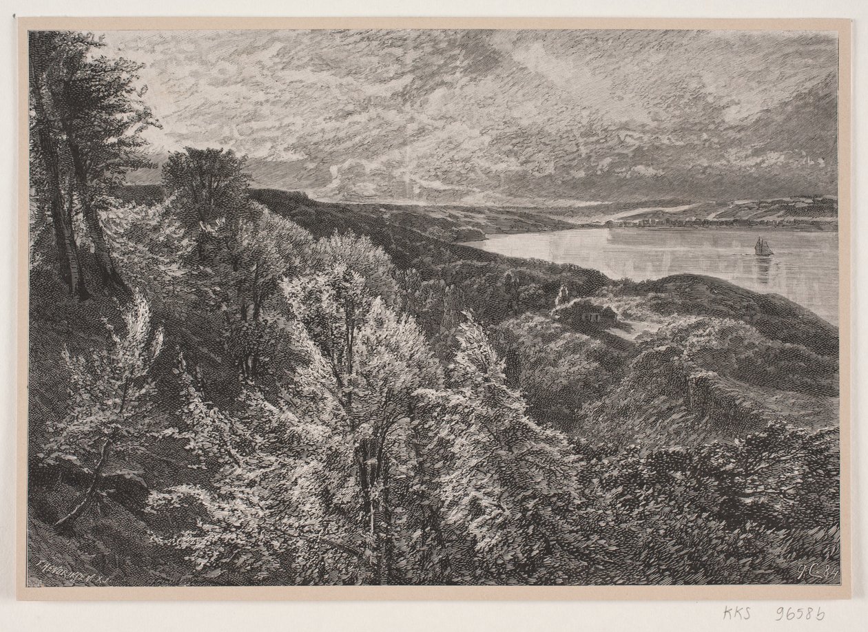 Vista desde Munkebjerg sobre el fiordo de Vejle de J. Hildebrand