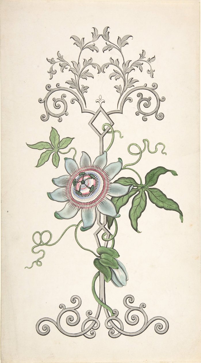 Diseño para Decoración de Panel Centrado en una Flor de la Pasión, 1828-40 de J Hulme