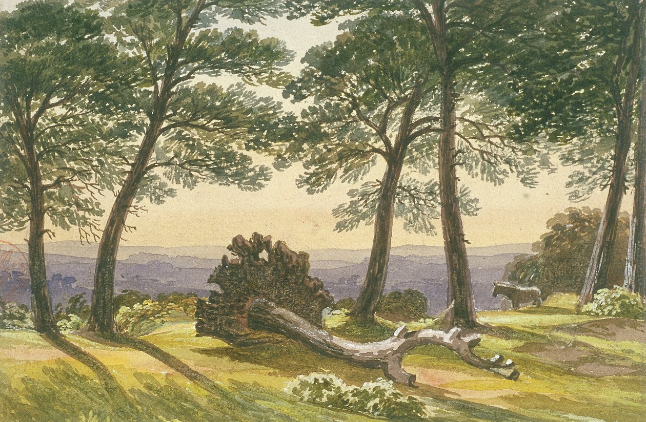 Hampstead Heath, Londres de J Powell