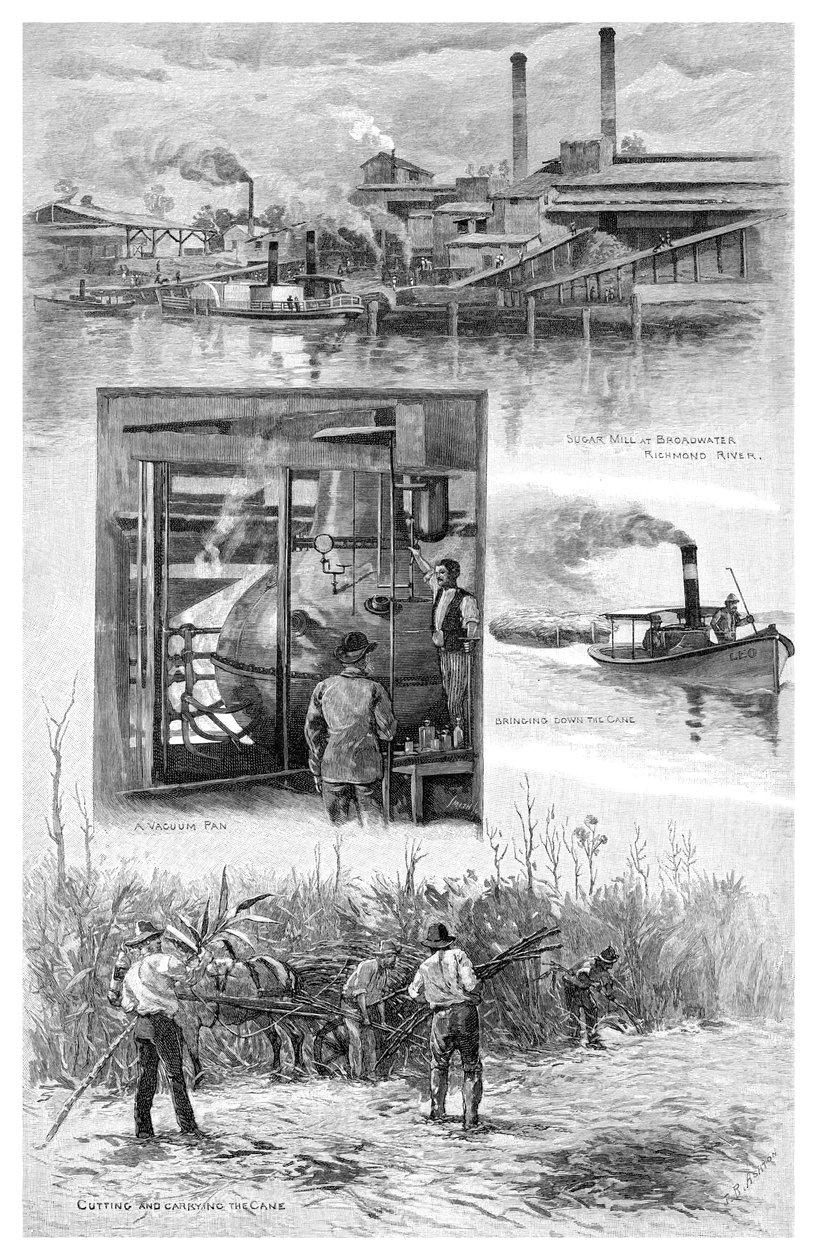 La industria azucarera, Río Richmond, Nueva Gales del Sur, Australia, 1886 de J. R. Ashton