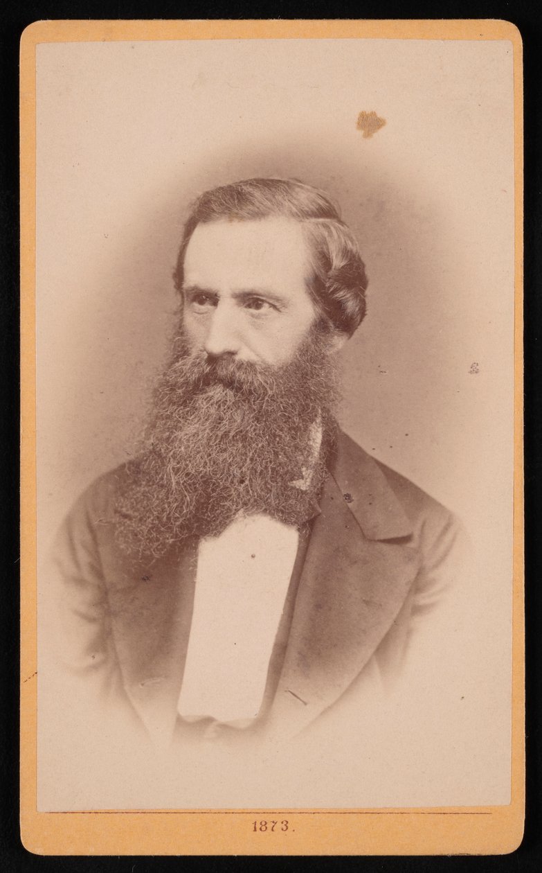 Retrato de Mordecai Cubitt Cooke 1825-1914, 1873 de J Stegmann
