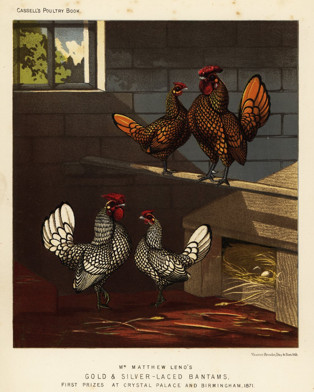 Gallo y gallina dorados y plateados de J. W. (after) Ludlow
