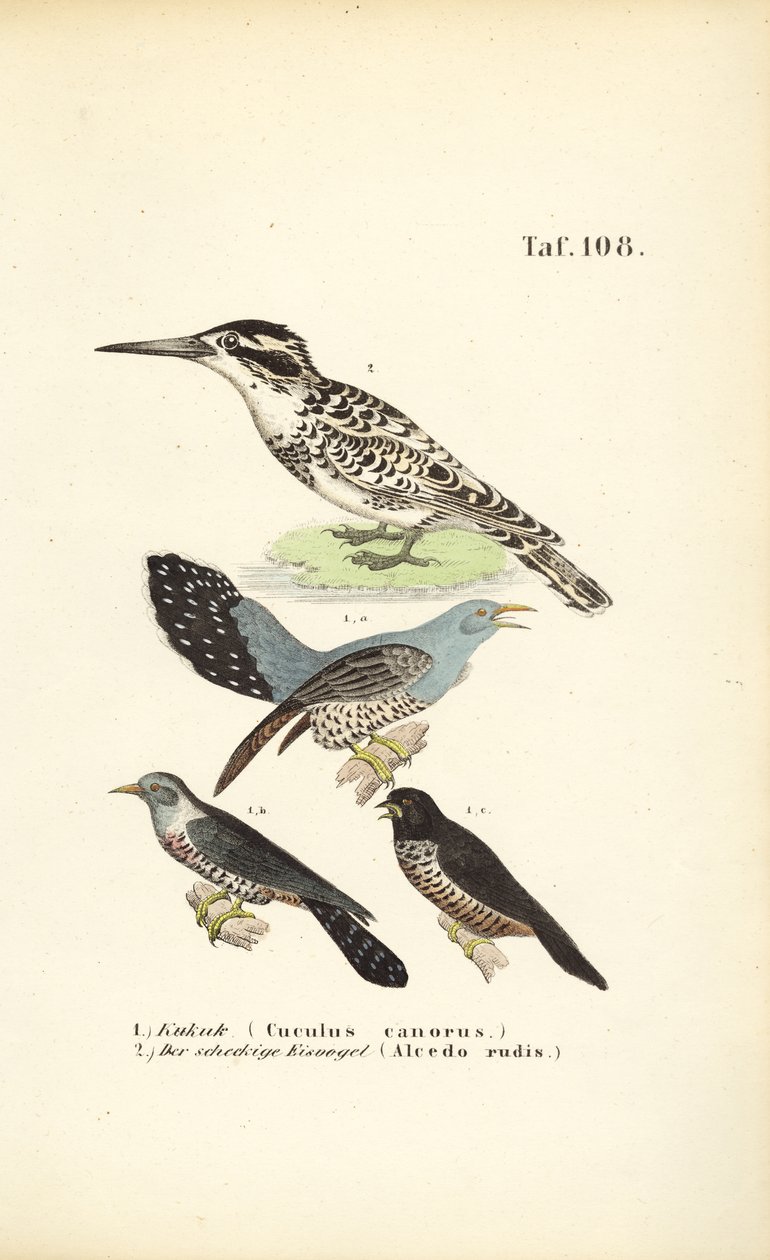  de J. W. Tenhaeff