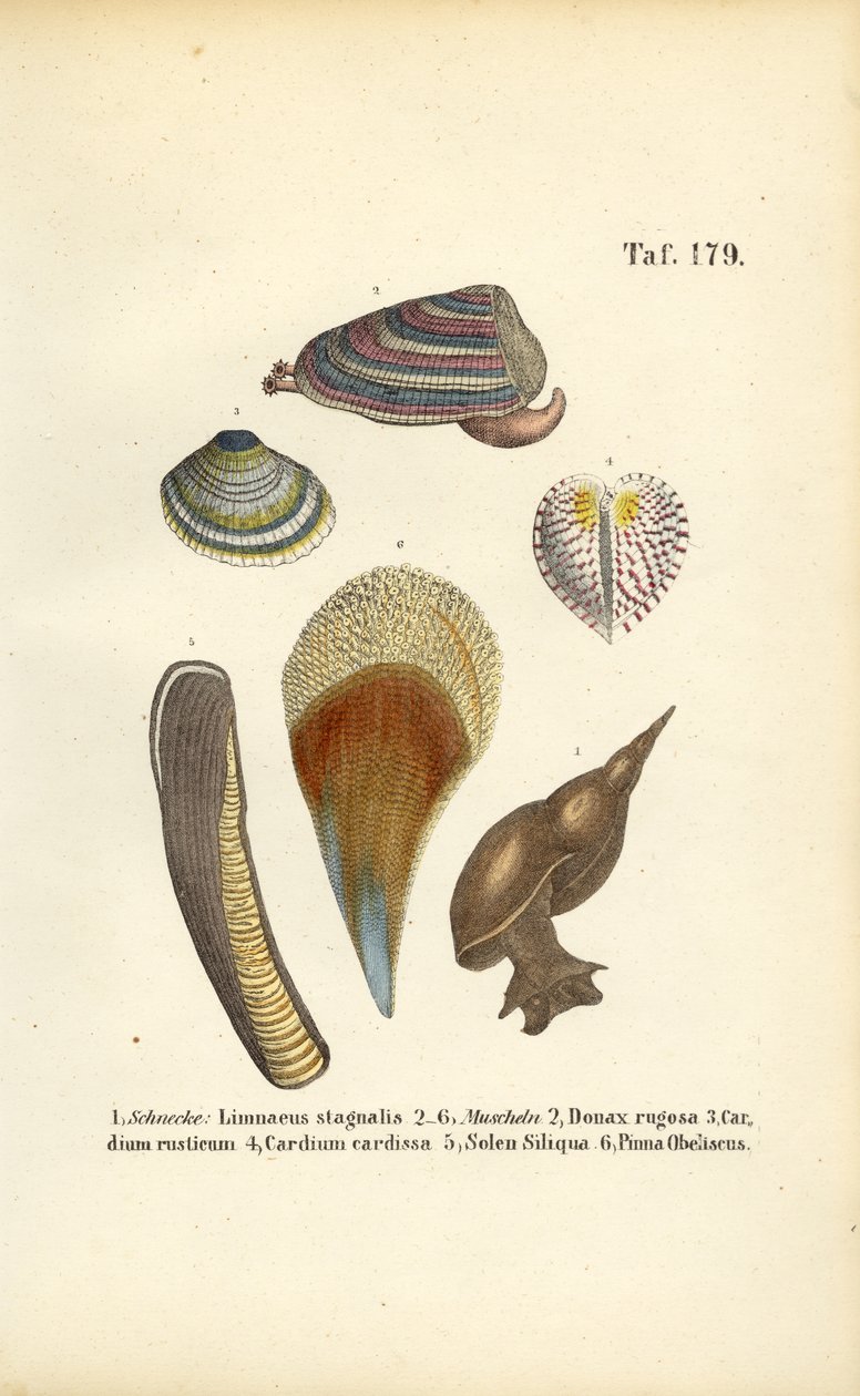  de J. W. Tenhaeff