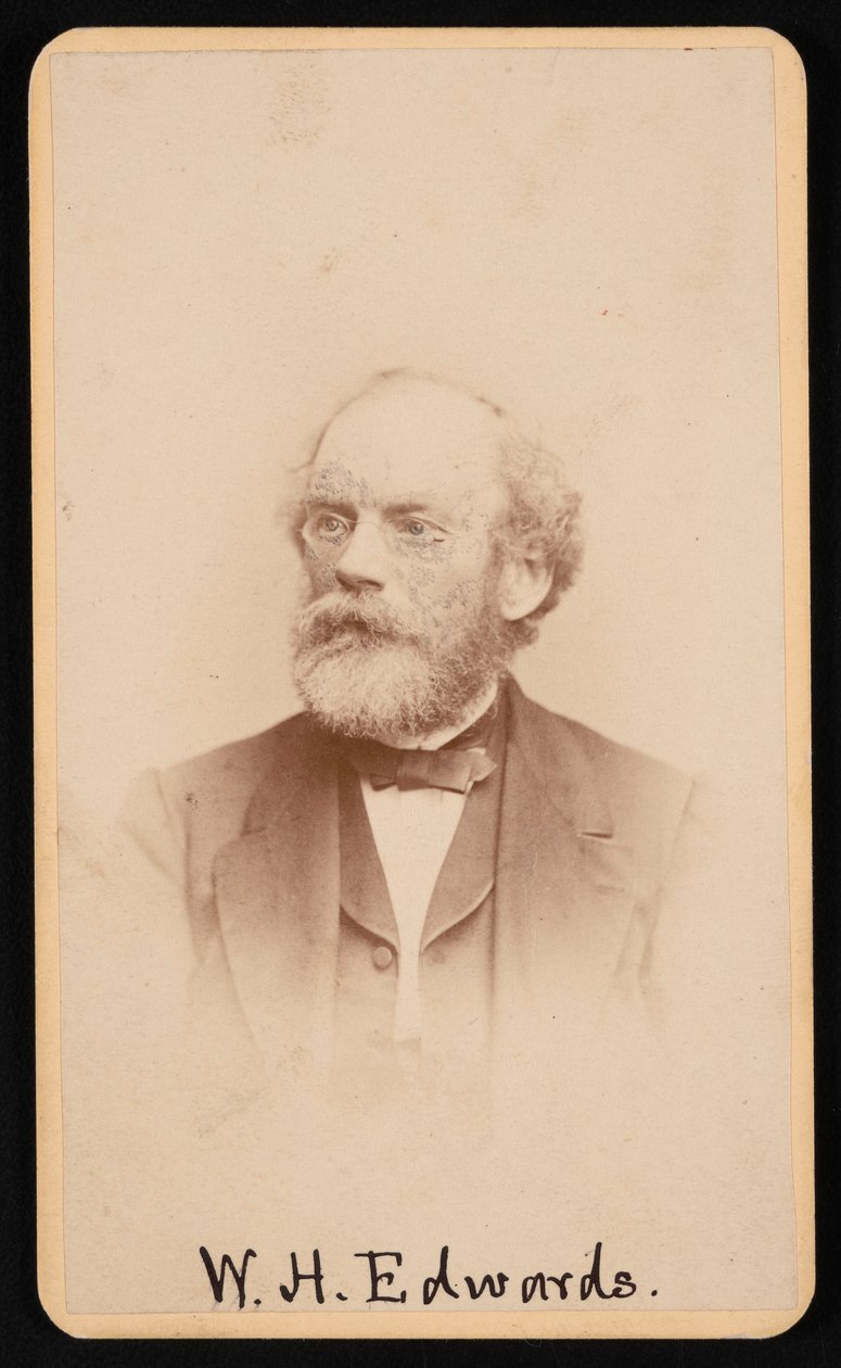 Retrato de William Henry Edwards 1822-1909, circa 1870s-1880s de J and W Vincent