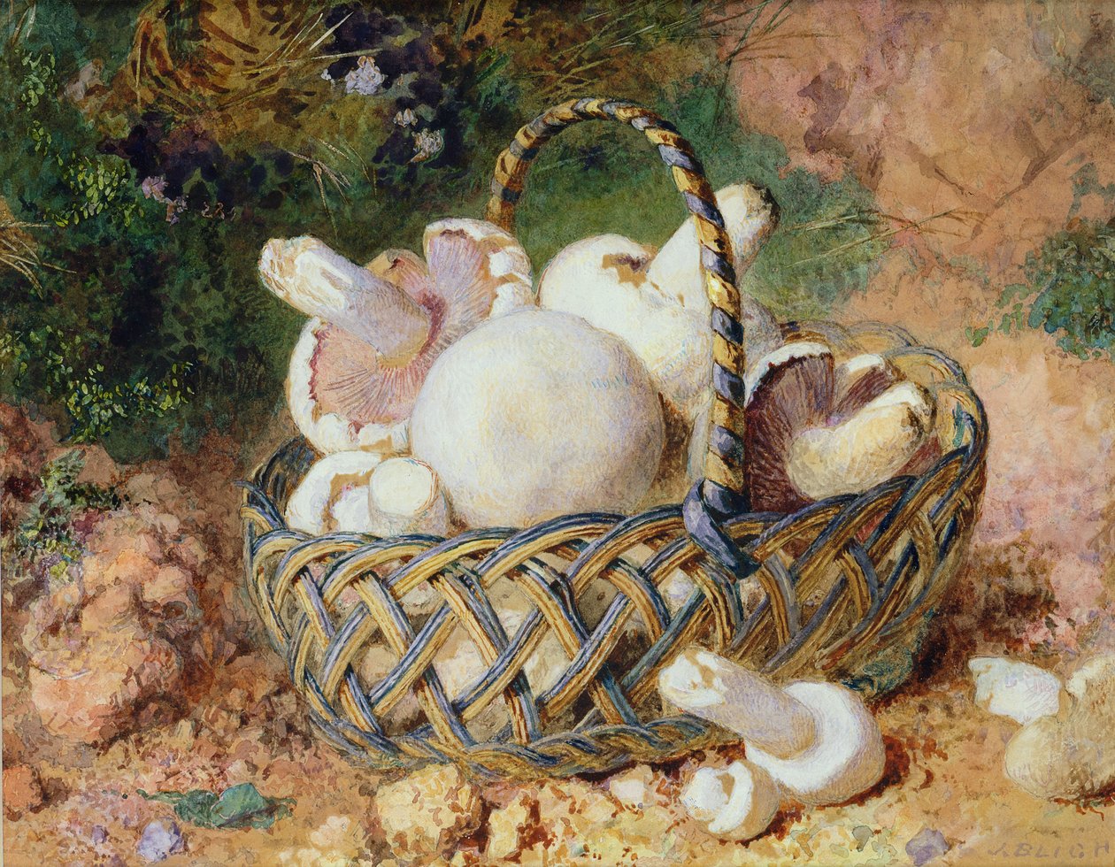 Una cesta de hongos, 1871 de Jabez Bligh