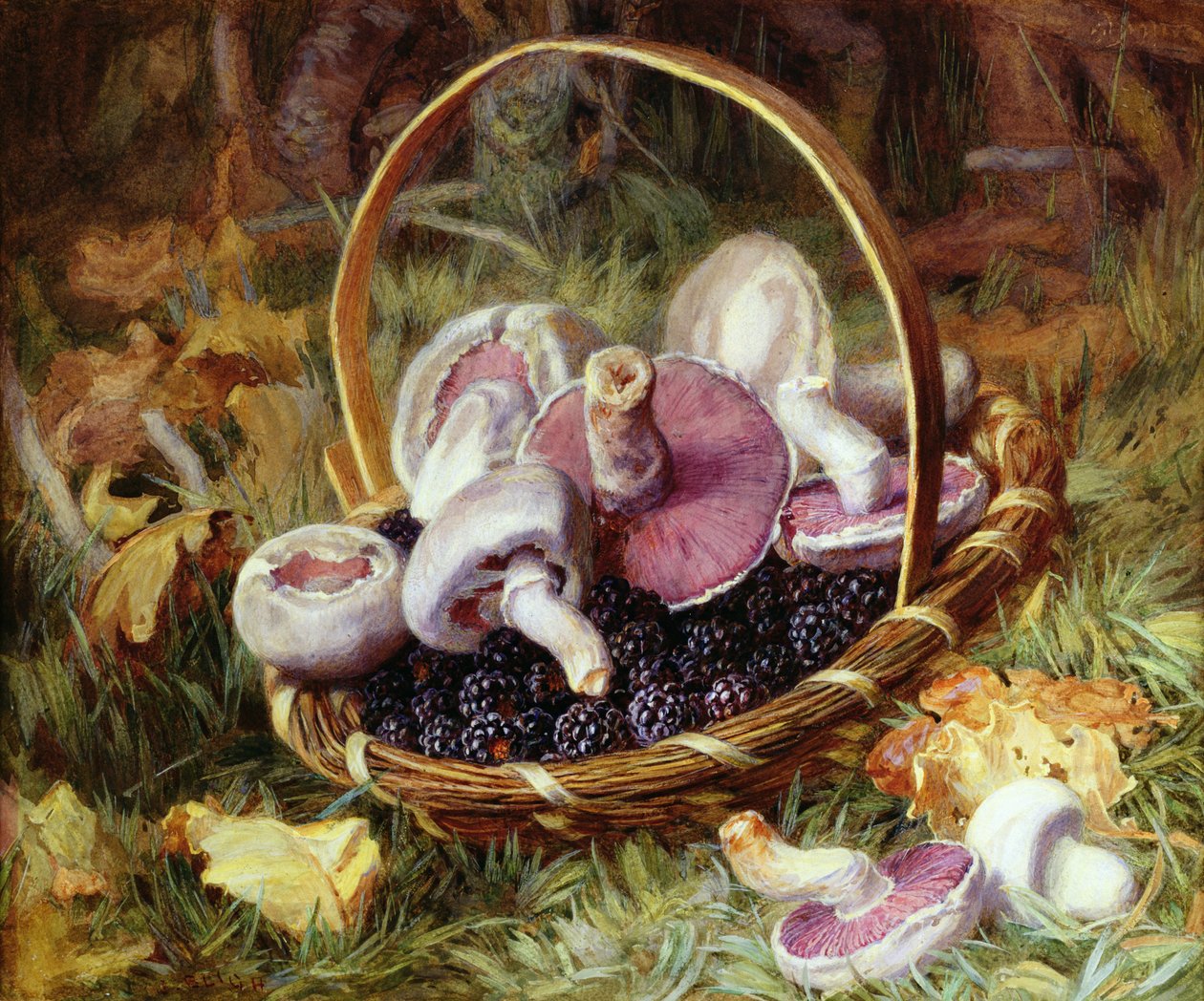 Una cesta de setas silvestres y moras de Jabez Bligh