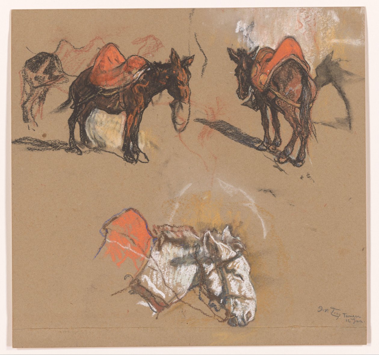 Estudios de burros y una mula en el Gran Mercado de Tánger de Jac van Looij (signed by artist)