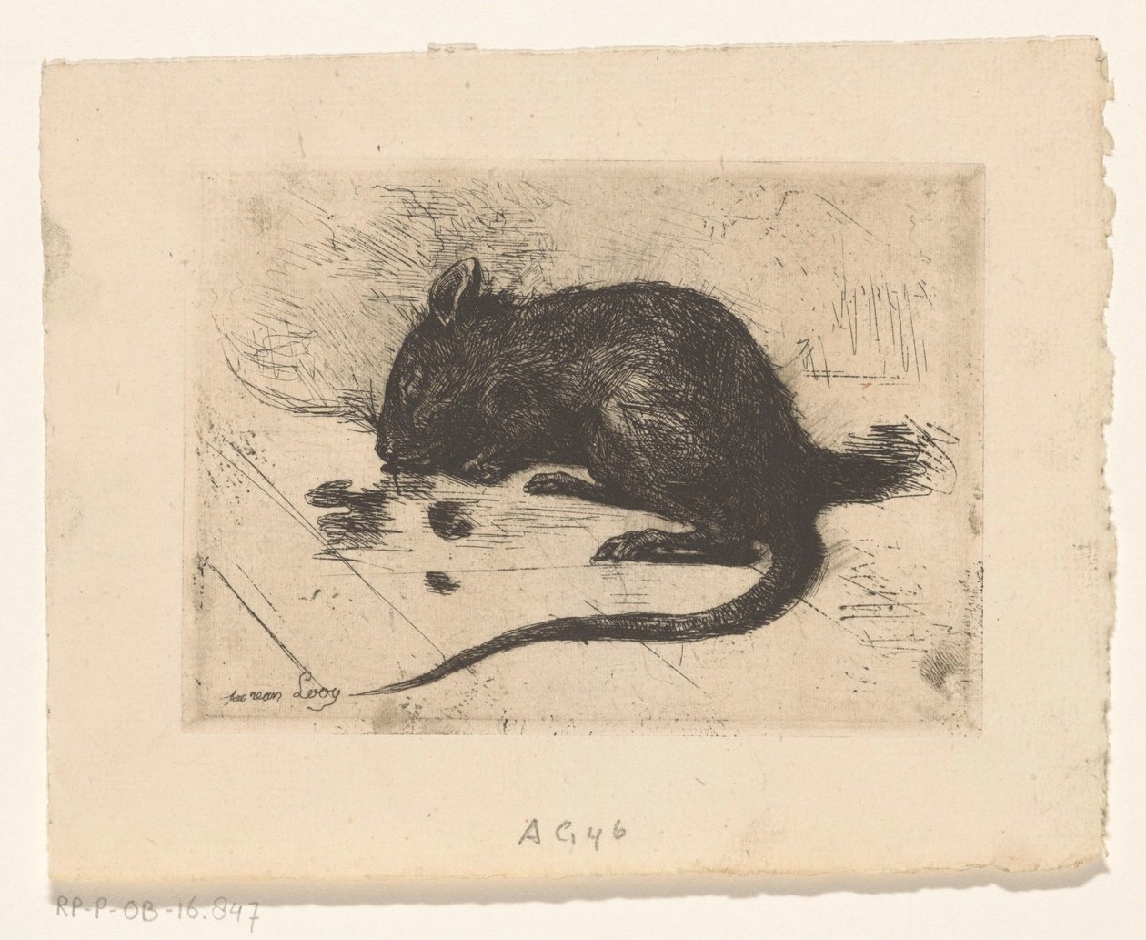 Otros de Jac van Looij