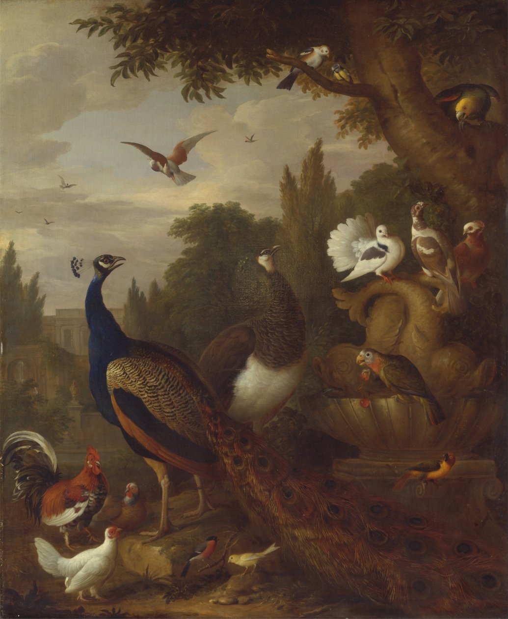 Pavo Real, Pava Real, Loros, Canario y Otros Pájaros en un Parque de Jacob Bogdani
