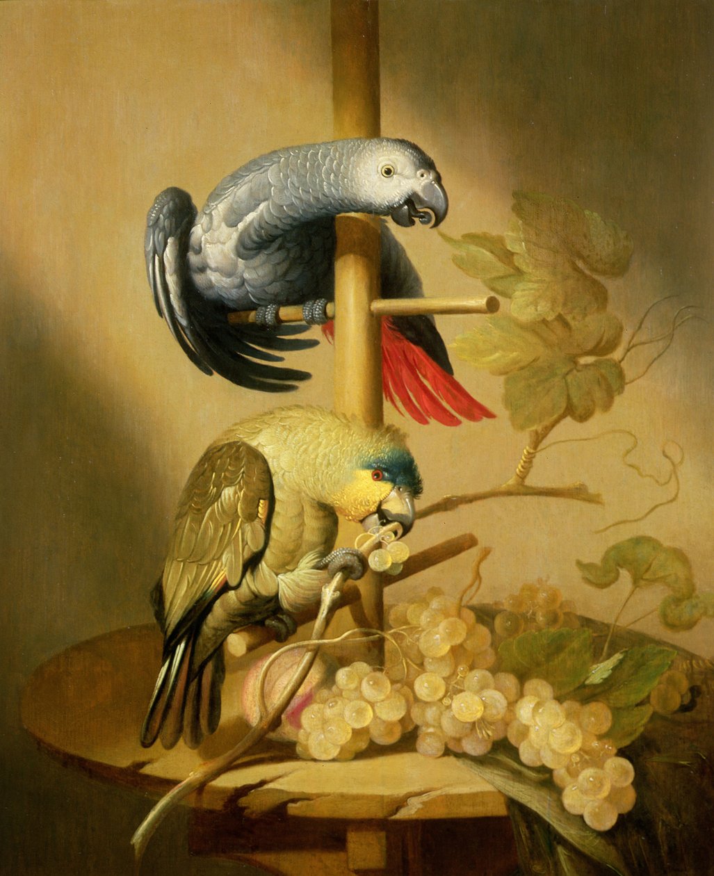 Un loro gris africano y un loro amazónico de ala naranja en una percha con uvas de Jacob Fransz van der Merck