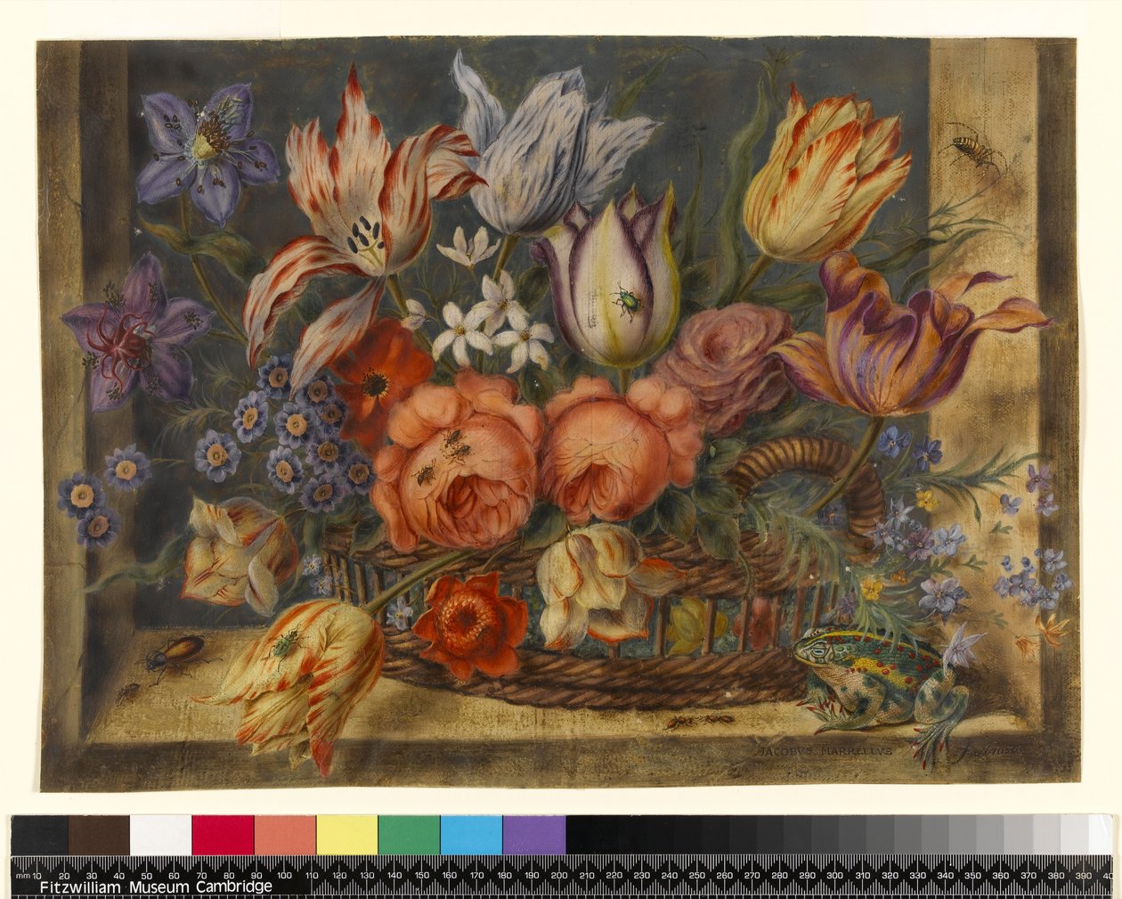 Flores en una cesta con ranas e insectos, 1634 de Jacob Marrel