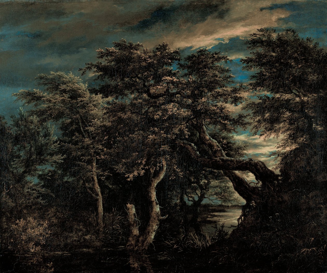Un Pantano en un Bosque al Anochecer de Jacob van Ruisdael