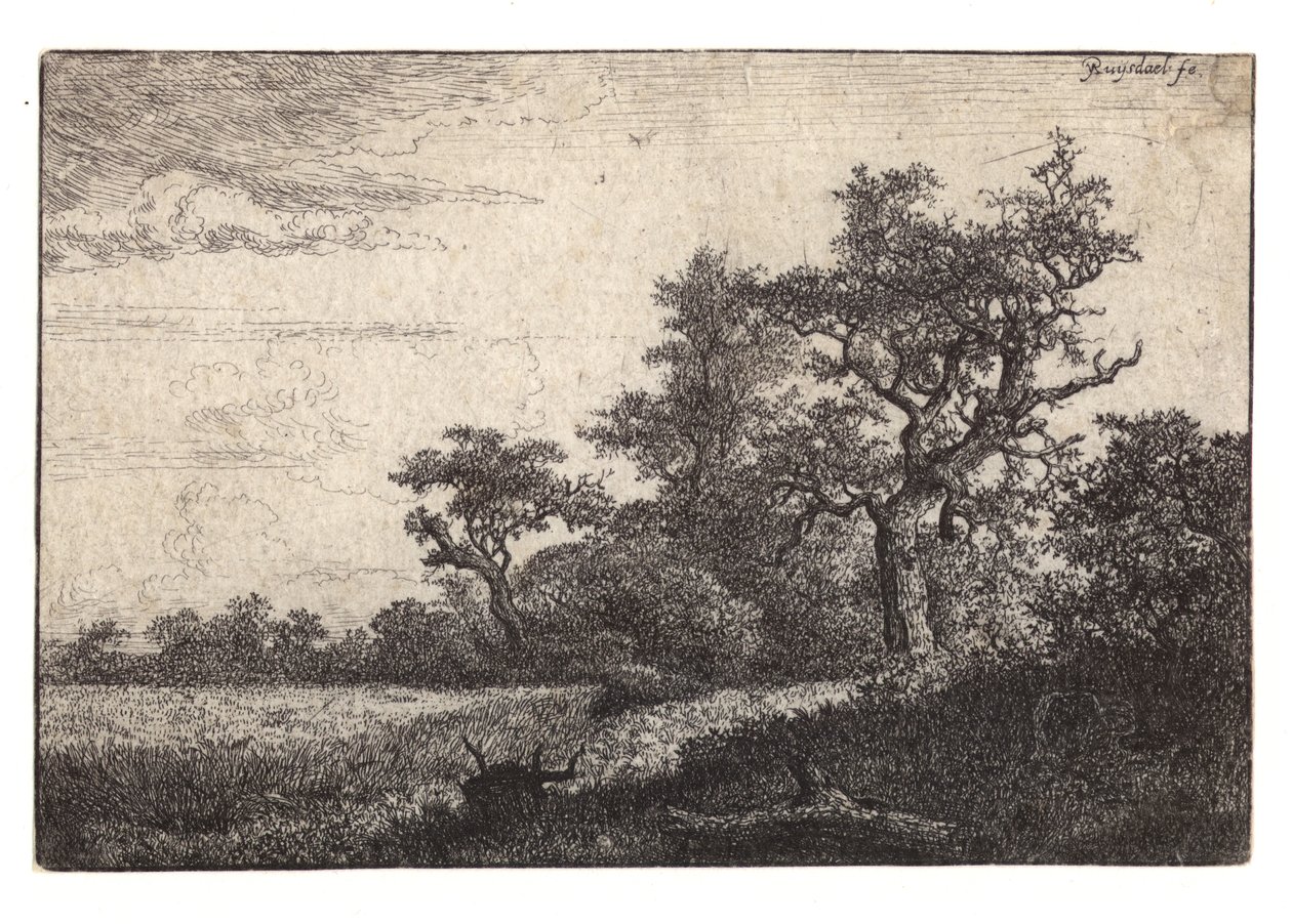 Grabado de árbol y campo de trigo de Jacob van Ruisdael