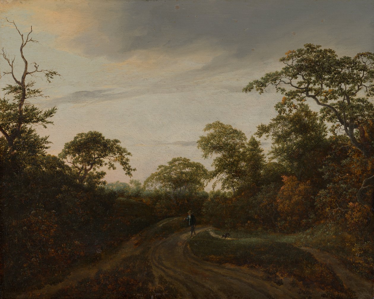 Camino en un paisaje boscoso al anochecer de Jacob van Ruisdael