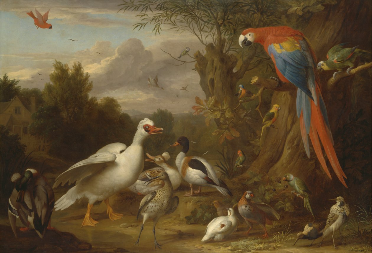 Un guacamayo, patos, loros y otras aves en un paisaje de Jacob Bogdani