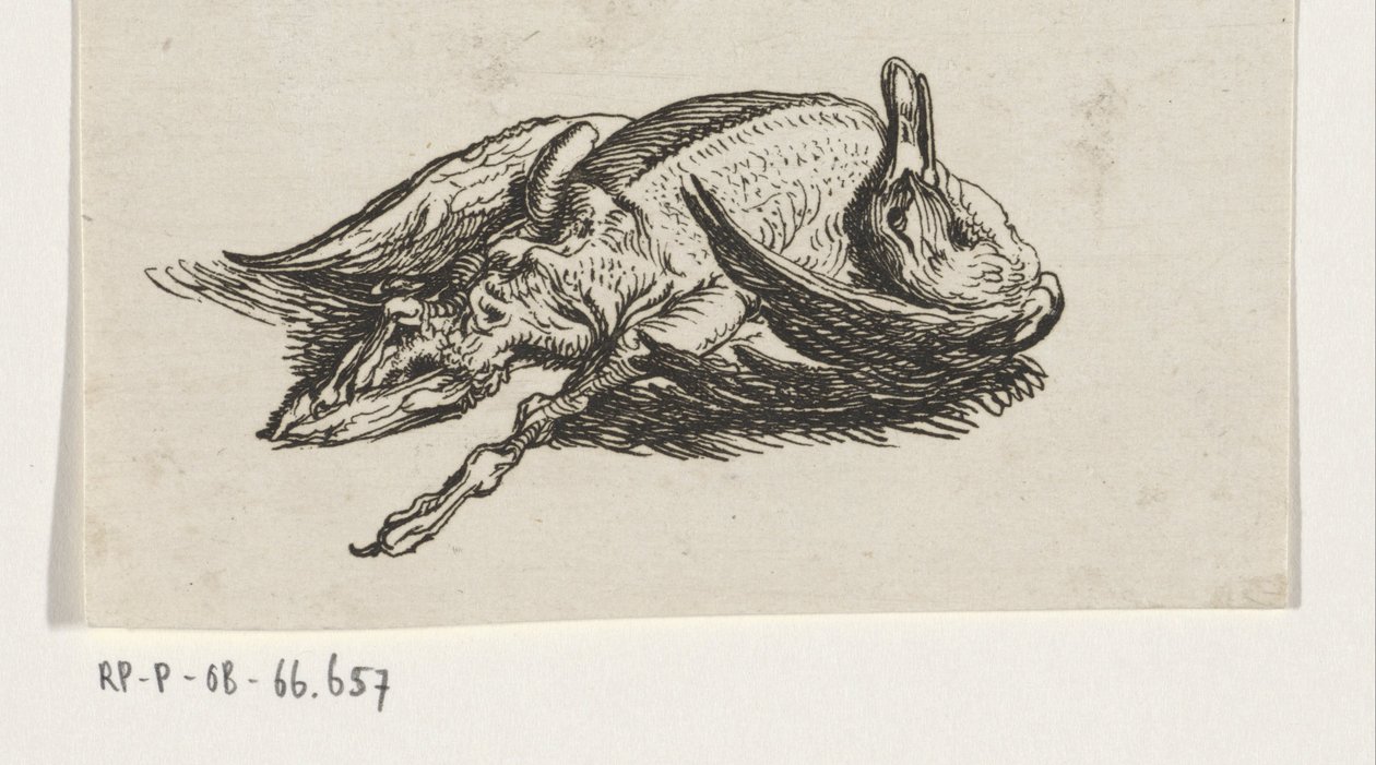 Pato muerto de Jacob Elias van Varelen