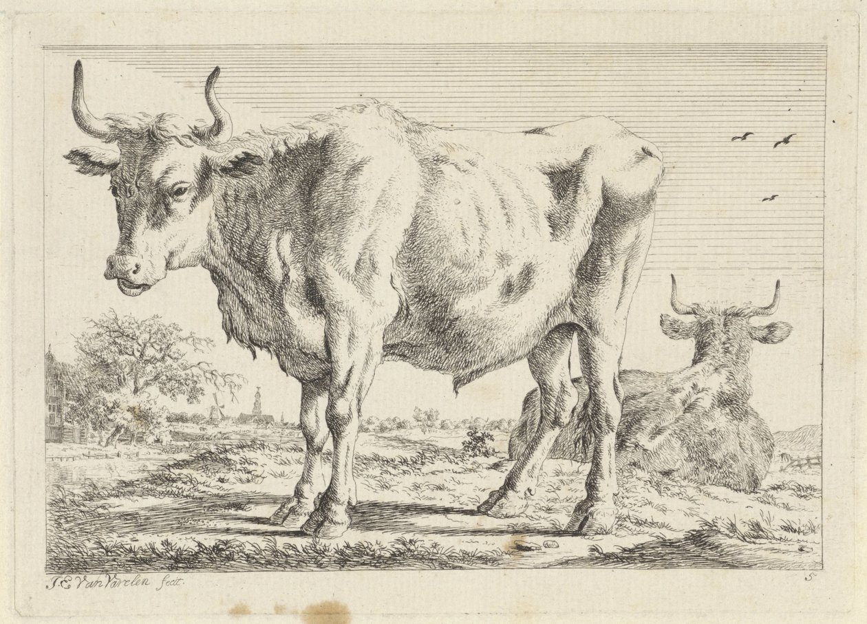 Buey de pie y acostado Seis grabados a partir de dibujos de varios maestros (título de la serie) de Jacob Elias van Varelen
