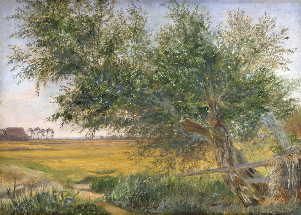 El viejo árbol, 1842 de Jacob Gensler