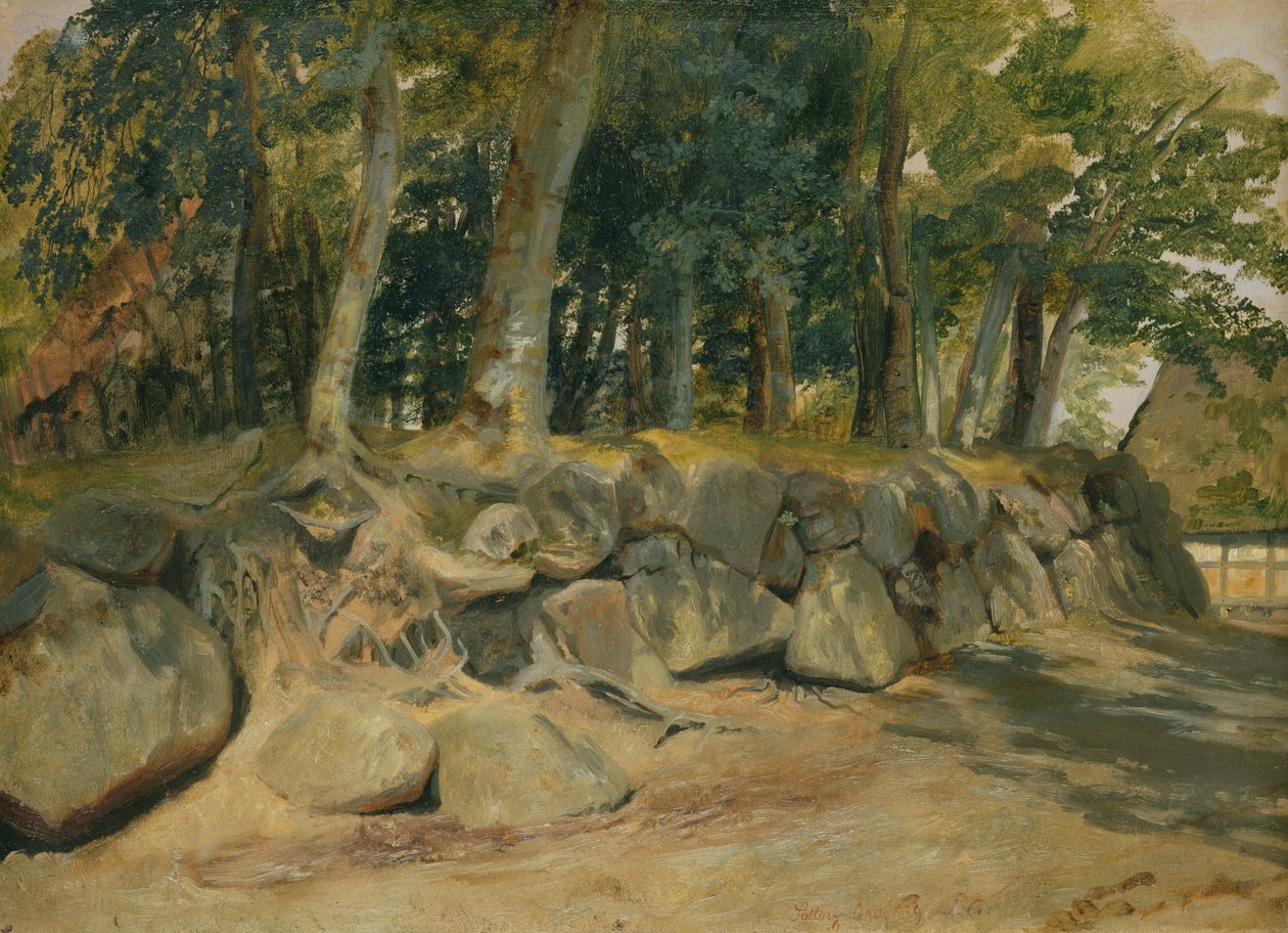 El muro de piedra en Sottorf, 1839 de Jacob Gensler