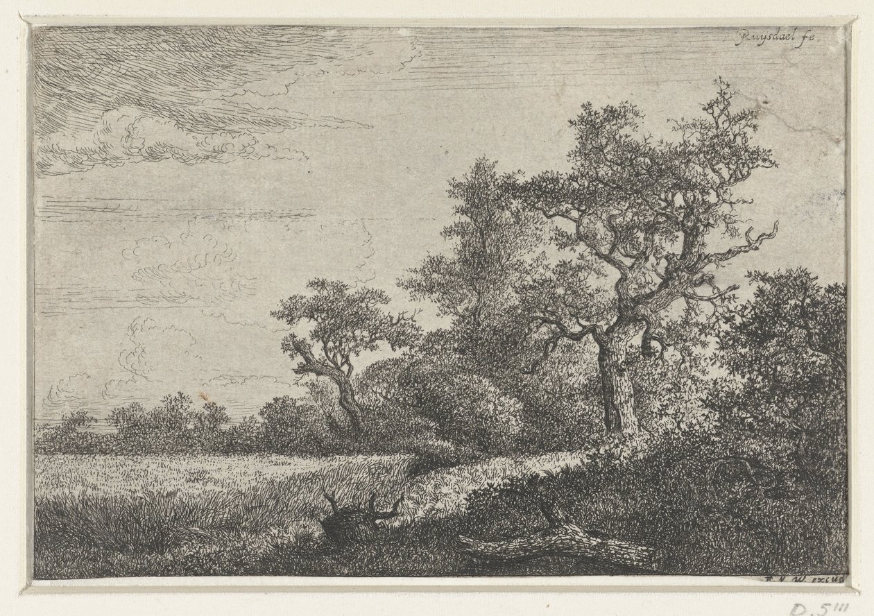 el maizal de Jacob van Ruisdael