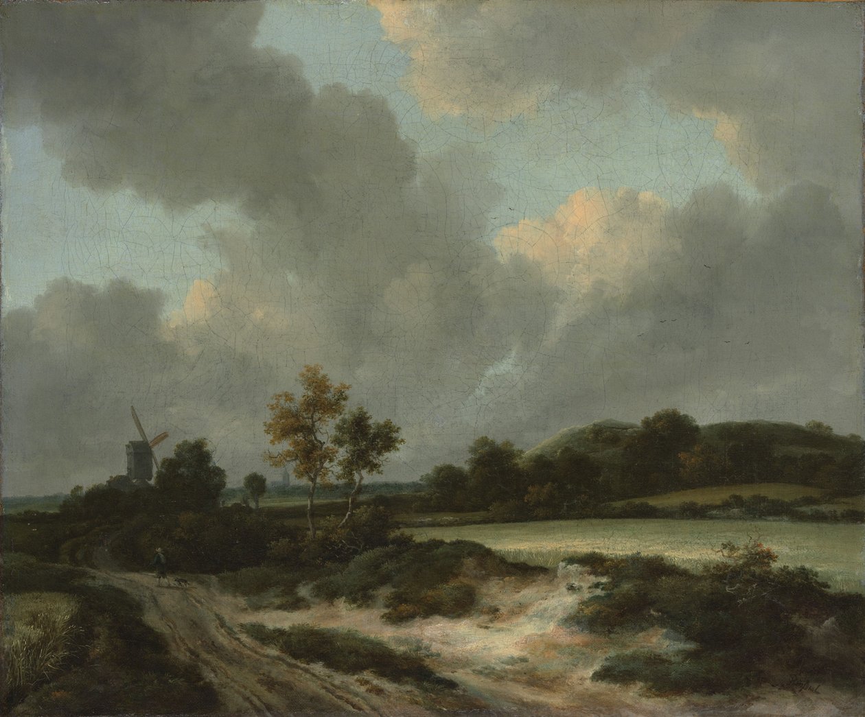 Campos de grano, c.1660 de Jacob van Ruisdael