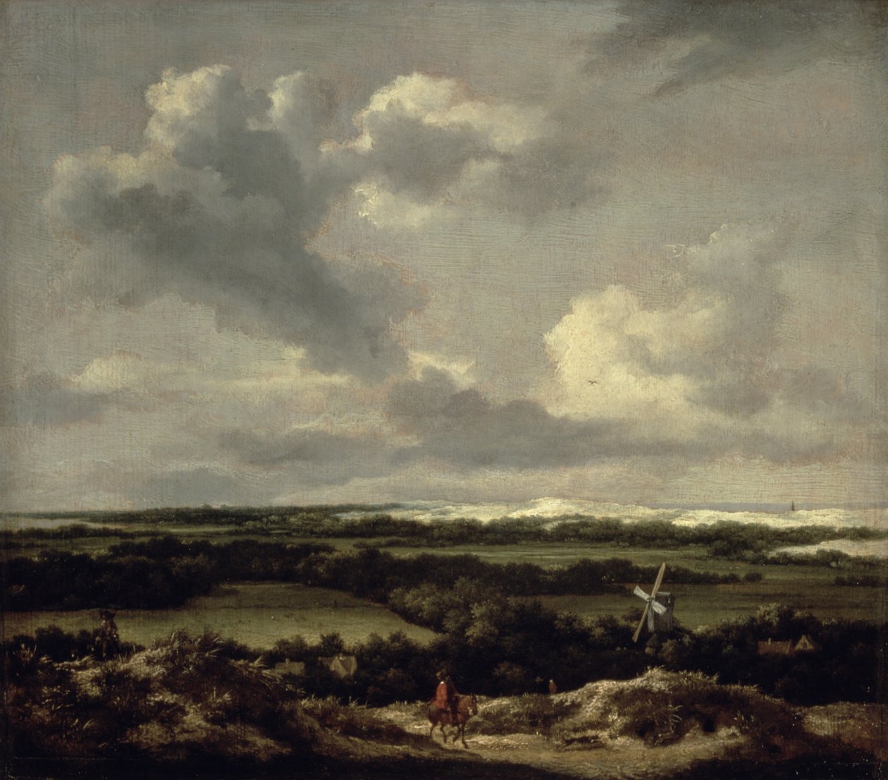 Paisaje con dunas cerca de Haarlem (óleo sobre lienzo) de Jacob van Ruisdael