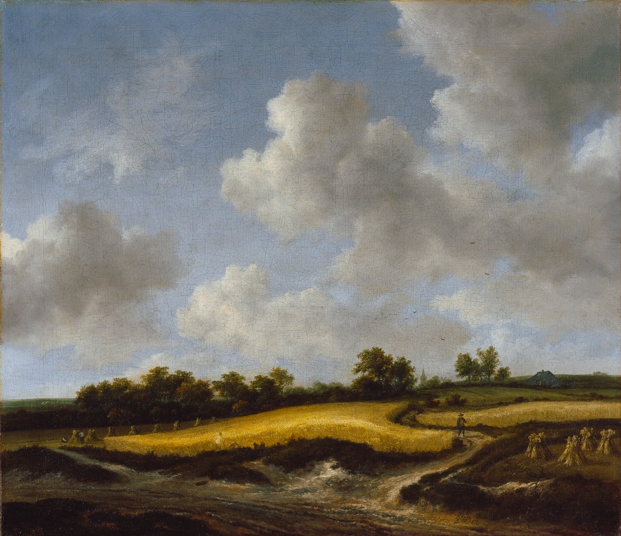 Paisaje con un campo de trigo de Jacob van Ruisdael